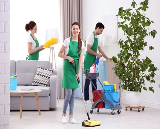 Maid Service, Housekeeping